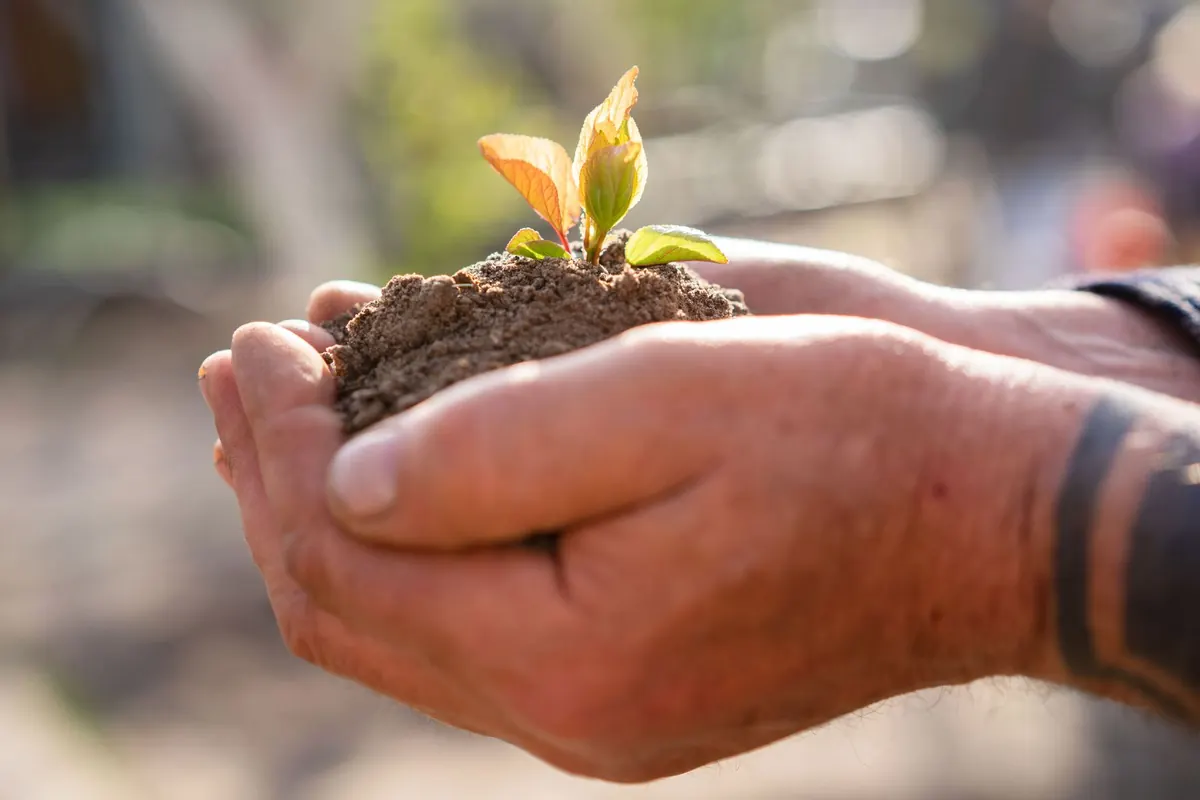 From Prompt to Plot: Turning a Writing Prompt into a Full Story